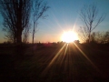 Prossima Foto: tramonto musano