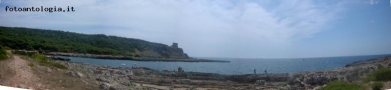 Prossima Foto: porto selvaggio
