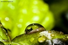 Prossima Foto: Hi there!