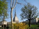 Prossima Foto: Giardini Reali a primavera