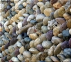 Prossima Foto: metamorfosi