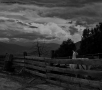 Prossima Foto: Il lama