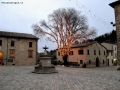 Foto Precedente: L'albero di uno strano Natale