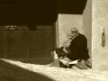 Prossima Foto: il primo sole ...