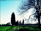 Prossima Foto: Paesaggio