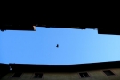 Foto Precedente: volo sopra i tetti....