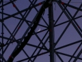 Foto Precedente: Luna spiona in carcere