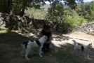 Prossima Foto: io e gli animali