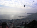 Foto Precedente: Volo sul golfo d'inverno