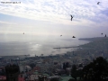 Prossima Foto: Volo sul golfo d'inverno