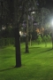 Foto Precedente: il giardino, di sera