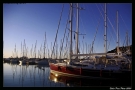 Foto Precedente: Porto di varazze