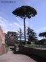 Foto Precedente: Roma - Sul Palatino, tra rovine e natura