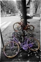 Prossima Foto: bici abbandonata