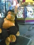 Prossima Foto: gorilla alla sagra