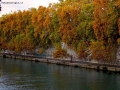 Prossima Foto: autunno a roma