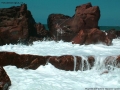 Prossima Foto: schiuma di mare