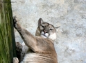 Prossima Foto: che c'?