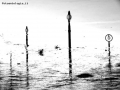 Prossima Foto: specchio di zisa