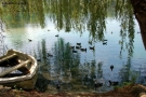 Lago