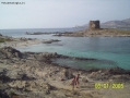 Foto Precedente: Sardegna