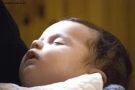 Prossima Foto: il miracolo della vita