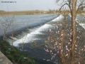 Prossima Foto: Assaggio di primavera