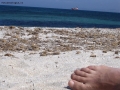 Prossima Foto: Piede e blu