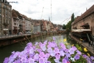 Foto Precedente: Strasburgo