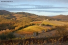 Prossima Foto: Chianti