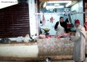 Prossima Foto: il macellaio