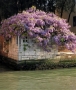 Foto Precedente: primavera a venezia