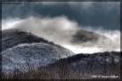 Foto Precedente: Liguria winter landscape
