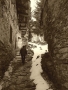Prossima Foto: solo