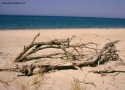 Spiaggia in Sicilia