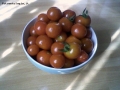 Foto Precedente: pomodori ciliegia-la prima raccolta