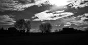 Prossima Foto: Wind