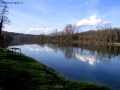 Prossima Foto: Pausa di riflessione sul cielo