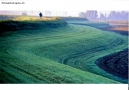 Prossima Foto: Curve...