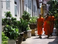 Foto Precedente: Monaci buddisti a Bangkok