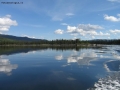 Prossima Foto: Swan lake
