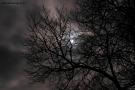 Prossima Foto: luna piena....