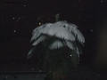 Foto Precedente: neve a milano