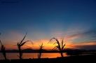 Prossima Foto: Sardegna - Golfo Aranci - tramonto