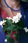 Prossima Foto: Dai fiori al colore