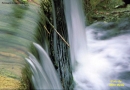 Foto Precedente: L'Acqua