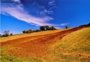 Foto Precedente: appennino reggiano