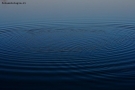 Prossima Foto: cerchi d'acqua!