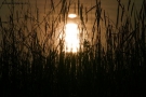Prossima Foto: riflesso!!