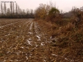 Foto Precedente: IL SONNO DELLA CAMPAGNA